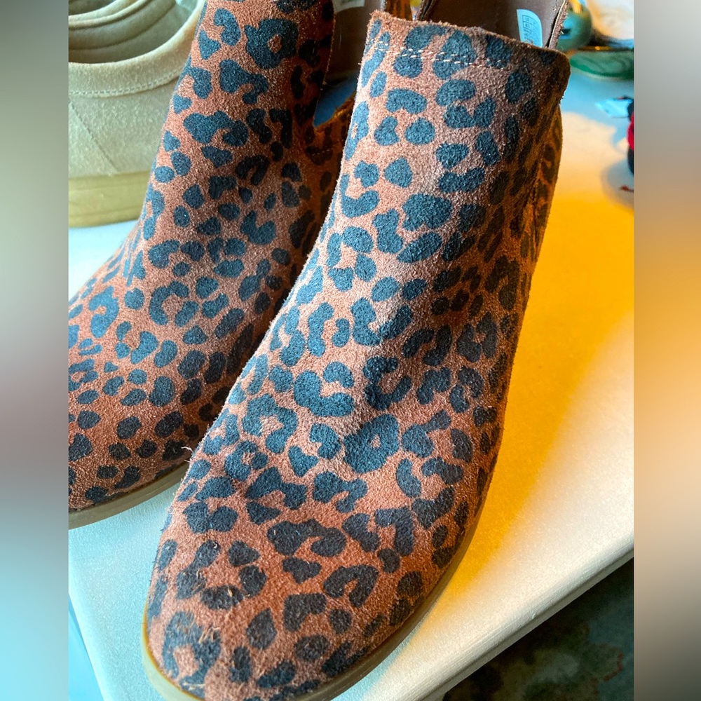 Toms Wedge